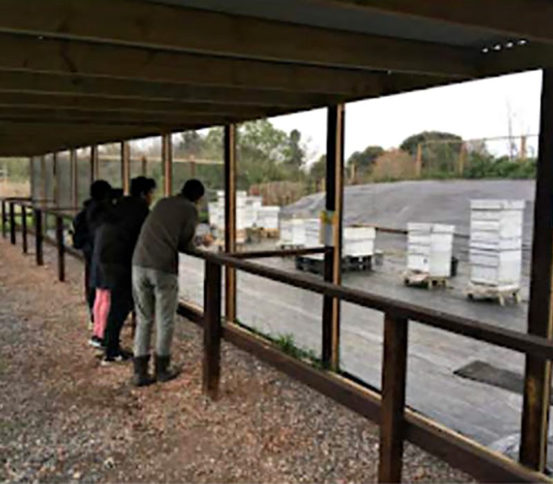 Apiary with three viewers 3