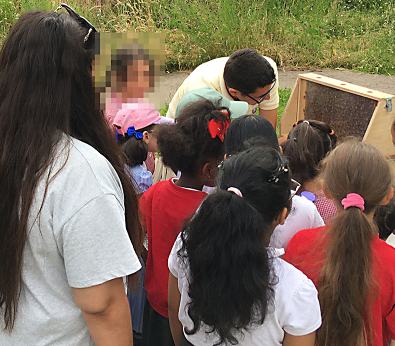 Bee school group lecture 02